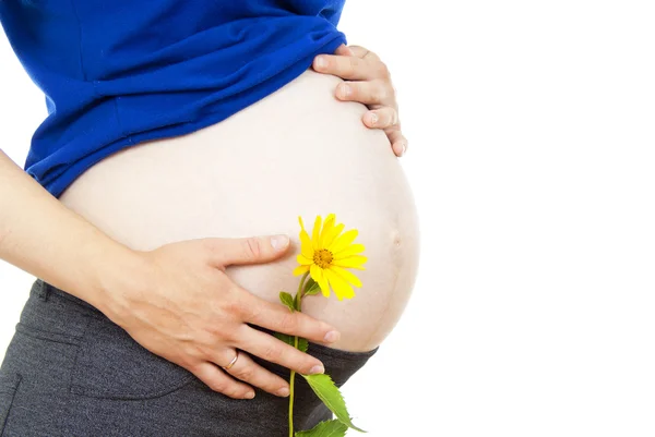 Big belly pregnant girl Stock Photo