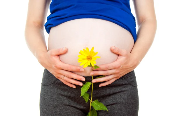 Pregnant abdomen and flower girls — Stock Photo, Image