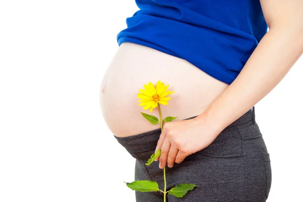 Беременная девушка с цветком — стоковое фото