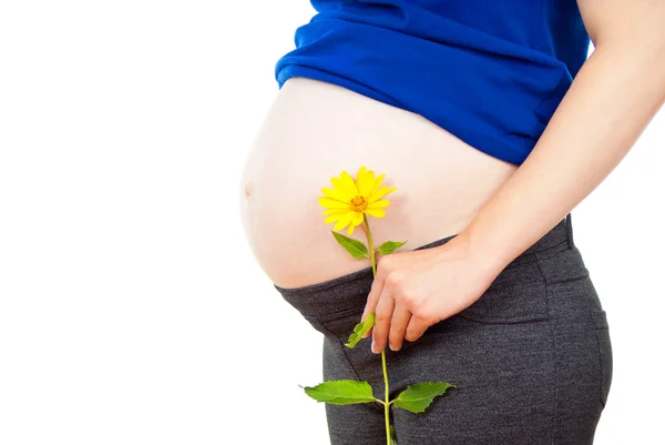 Schwangerschaftsbauch und Blume — Stockfoto