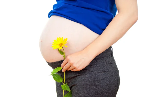 Barriga da mulher grávida — Fotografia de Stock