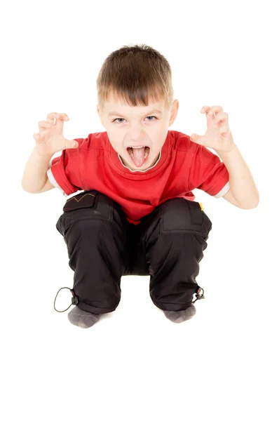The little boy screaming and writhe a face Stock Picture
