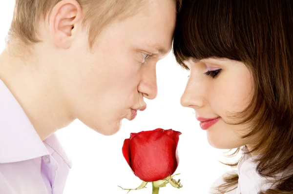 A guy and a girl holding a rose and look at each other — Stock Photo, Image