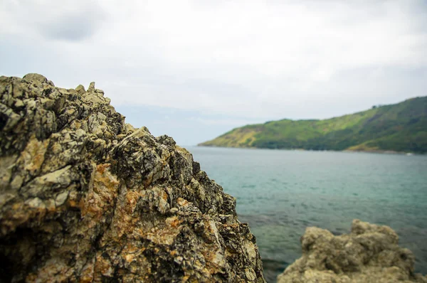 Hermosa naturaleza — Foto de Stock