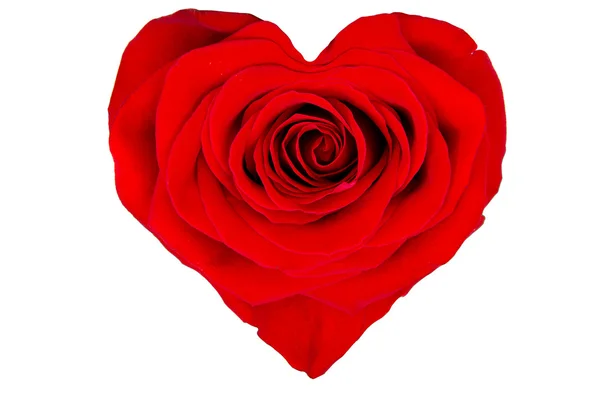 Red rose in the shape of a heart — Stock Photo, Image