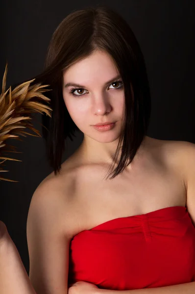 The girl Brunet with feathers posing — Stock Photo, Image