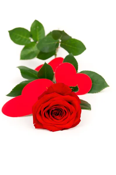 Μακρύ κόκκινο τριαντάφυλλο στηρίζεται με καρδιές που έκανε — Φωτογραφία Αρχείου