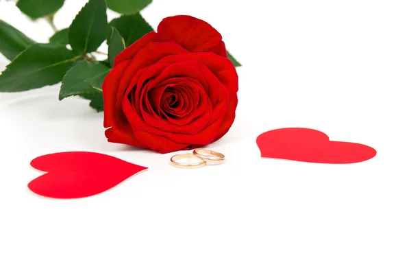 Rosa roja con corazones y anillos de boda —  Fotos de Stock