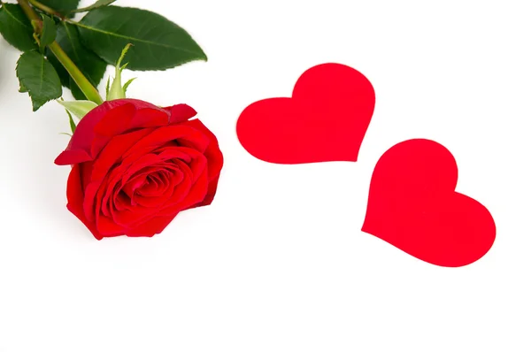 Red rose with hearts — Stock Photo, Image