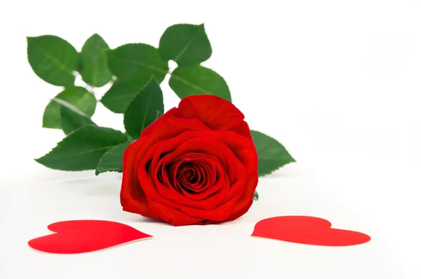 Rosa Roja con corazones — Foto de Stock