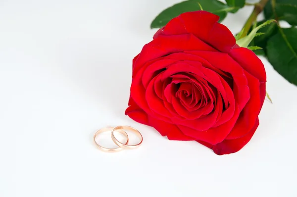 Anillo de rosa y flor —  Fotos de Stock