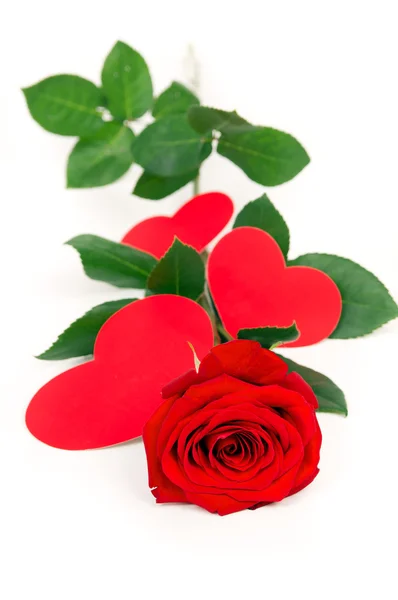 Rose ist das Herz und die Perlen — Stockfoto