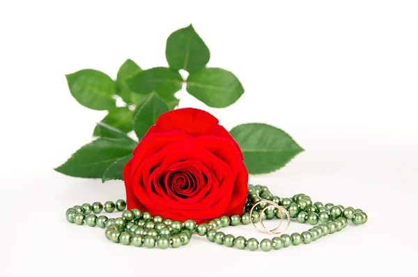 Rose with golden rings and beads — Stock Photo, Image