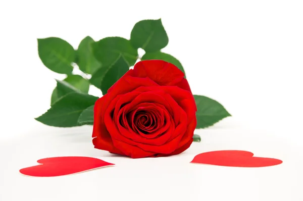 Valentine's Day roses and heart — Stock Photo, Image