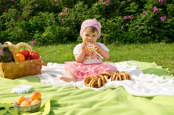 Baby resting on a picnic — Stock Photo, Image