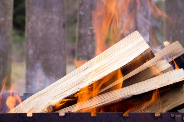 Beautiful bright fire and logs — Stock Photo, Image