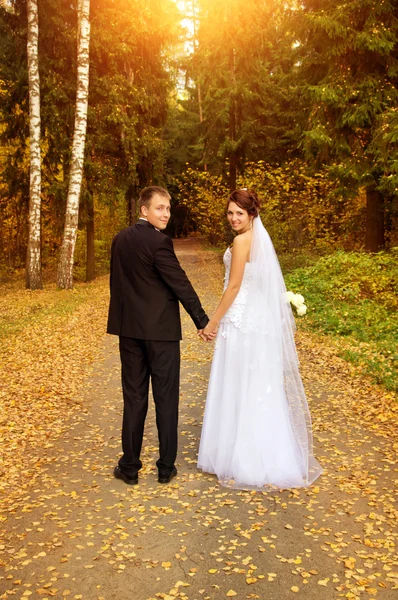 Young couple looking back, holding for hands — Stock Photo, Image