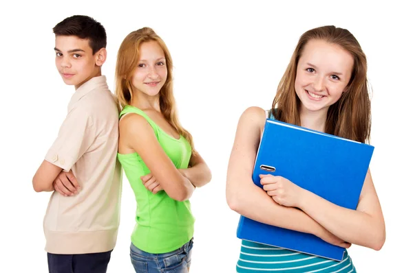 Schoolgirl with a folder is Stock Image