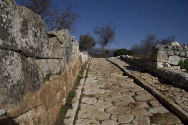 Norma şehir