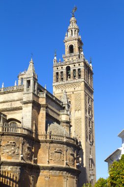 Katedral
