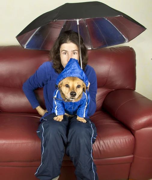 Cão chuva — Fotografia de Stock