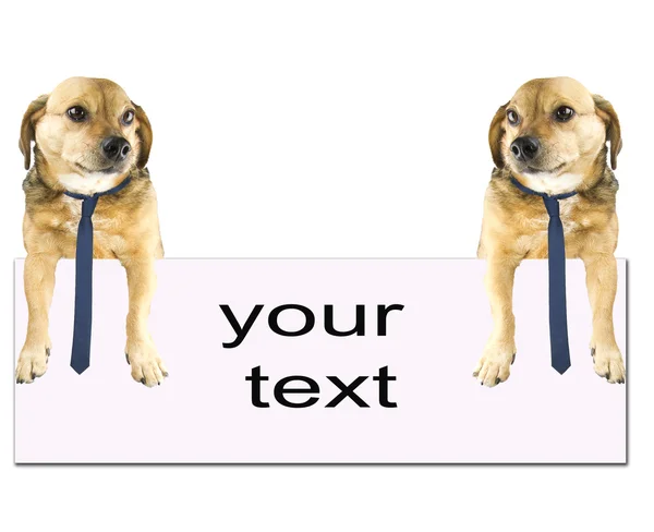 Simple text — Stock Photo, Image