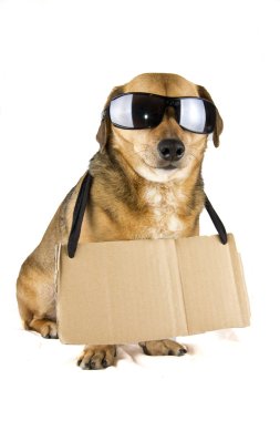Kör Köpek