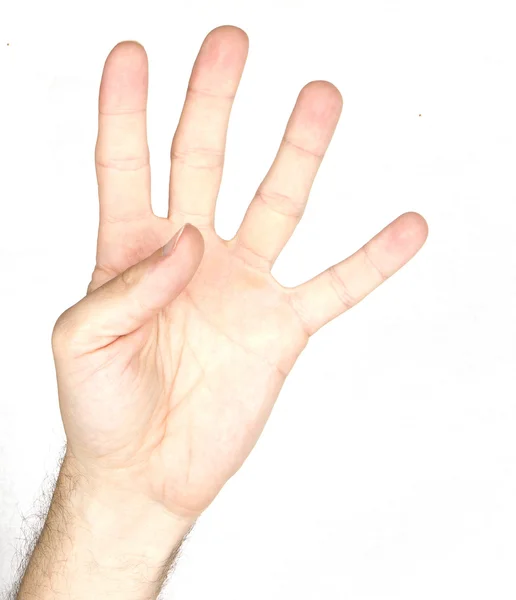 Die Hand auf dem weißen Hintergrund — Stockfoto