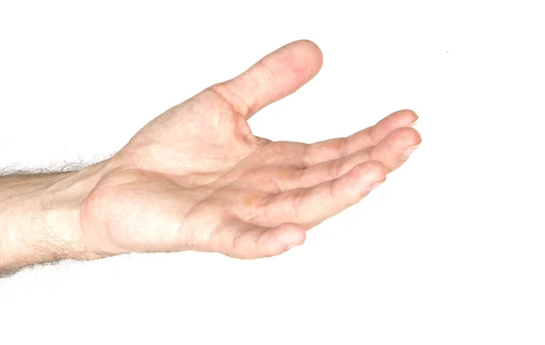 La mano sullo sfondo bianco — Foto Stock