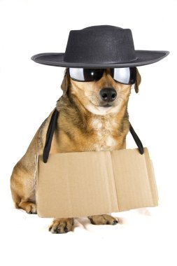 Kör Köpek