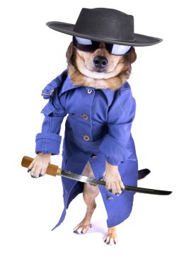 matris köpek