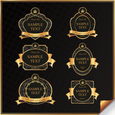 Vintage vektör siyah kare etiketi altın elemanları ile set
