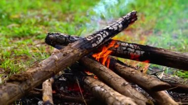 Ateşte yanan dallar, yanan şenlik ateşinin parlak alevi, kışın kamp yapmak..
