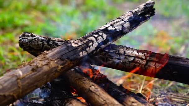 在火中燃烧着树枝 篝火熊熊燃烧 在冬天露营 — 图库视频影像