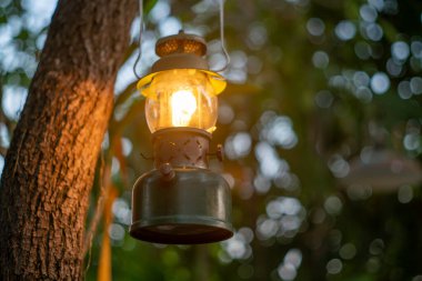 Ormandaki bir ağaçta asılı duran antika bir gaz lambası. Kamp atmosferi. Açık hava görüntüsü..