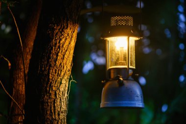 Ormandaki bir ağaçta asılı duran antika bir gaz lambası. Kamp atmosferi. Açık hava görüntüsü..