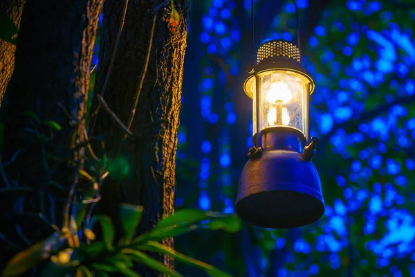 Antieke Olielamp Opknoping Aan Een Boom Het Bos Avond Camping — Stockfoto