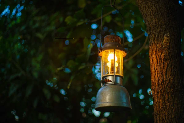 Starožitný Olej Lampa Visí Stromě Lese Večerním Táboření Atmosféře Travel — Stock fotografie