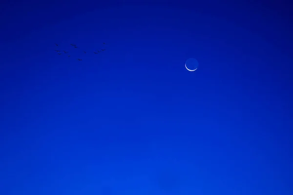 Moon Blue Sky Night — Stockfoto