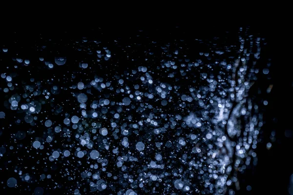 Selective Focus Splashing Water Droplets Trees Black Background Soft Focus — 스톡 사진