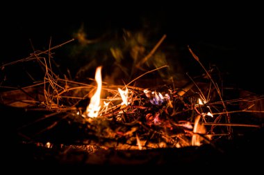 Ateş ve alevler. Alevler ve yanan kıvılcımlar, ateş desenleri. Ateşten gelen alevler. Gece ateşi, odunlar yanıyor, kıvılcımlar uçuşuyor. Yumuşak odaklanma. Sığ odak etkisi.