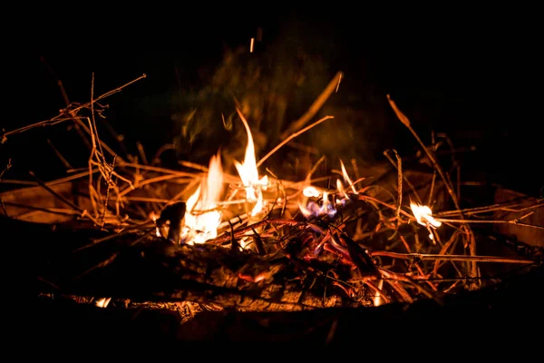 Ateş ve alevler. Alevler ve yanan kıvılcımlar, ateş desenleri. Ateşten gelen alevler. Gece ateşi, odunlar yanıyor, kıvılcımlar uçuşuyor. Yumuşak odaklanma. Sığ odak etkisi.