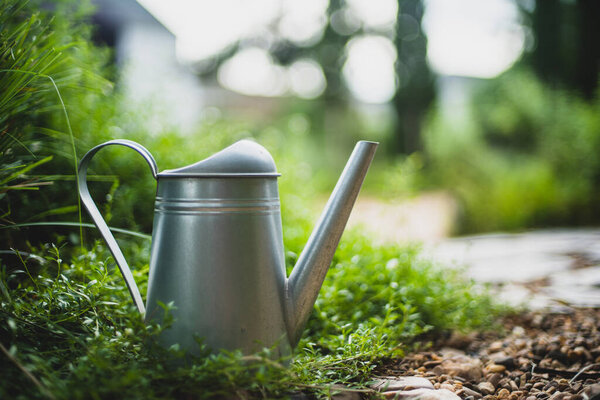 Metal watering can be Placed above the pine, in the garden, at evening time. soft focus.shallow focus effect.