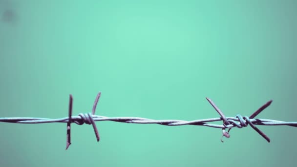 錆びた鉄条網柵の空の背景のクローズアップ写真 — ストック動画