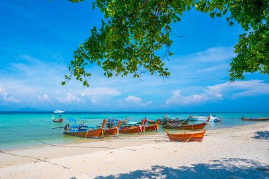 KRABI, THAILAND Phi Phi Ley Adası 'ndaki Maya Körfezi Plajı Temiz beyaz kumsal ve zümrüt yeşili deniz.
