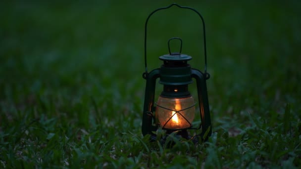 Lámpara Aceite Vintage Bosque Por Noche Concepto Camping — Vídeo de stock