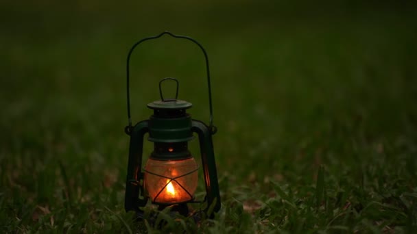 Lámpara Aceite Vintage Bosque Por Noche Concepto Camping — Vídeos de Stock