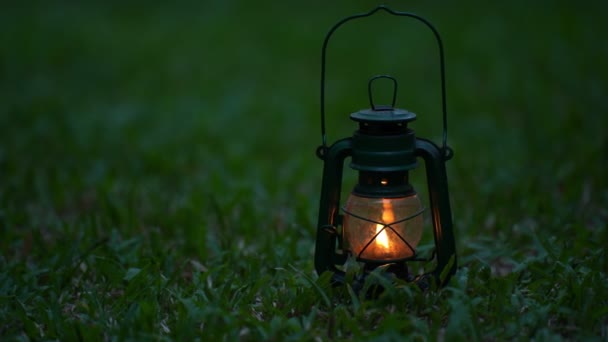 Lámpara Aceite Vintage Bosque Por Noche Concepto Camping — Vídeos de Stock