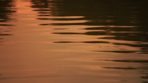 Ripples Reflected Water Surface Orange Reflection Water Evening Sunset Time — Stok video