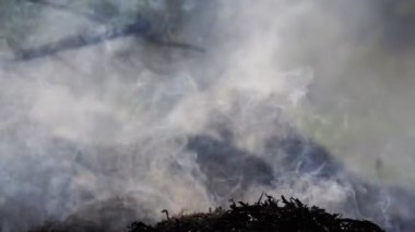Kuru yaprakları yakmak ve yanan yapraklardan çıkan duman çevre için zararlıdır. Bahçede yanan yapraklar.